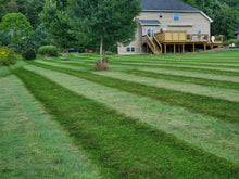Load image into Gallery viewer, JEWLS Lawn Striper