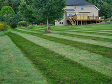 Load image into Gallery viewer, JEWLS Lawn Striper
